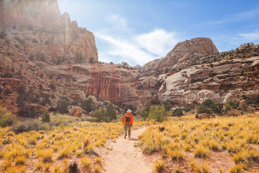 Essential Tips for Staying Safe While Hiking
