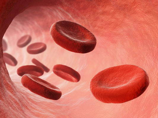 Bloodborne Pathogens Safety Training for OSHA Regulations