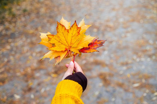 Changing Seasons, New Hazards: How to Stay Safe as Fall Begins