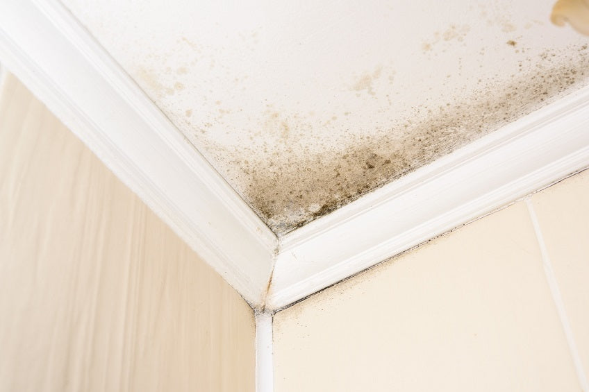 Water and Mold Dangers – Part 1