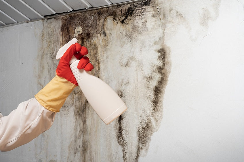 Water and Mold Dangers – Part 2
